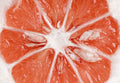 Pulp / Red