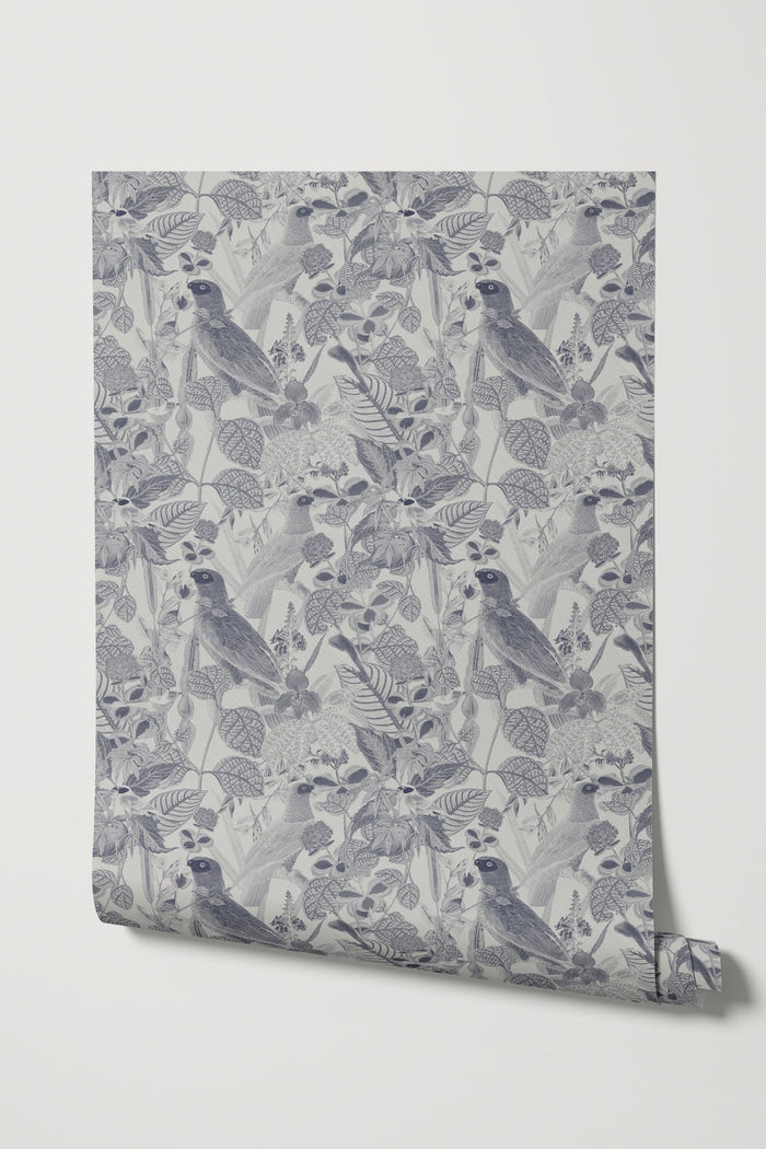 Rainforest of Congo / Gray