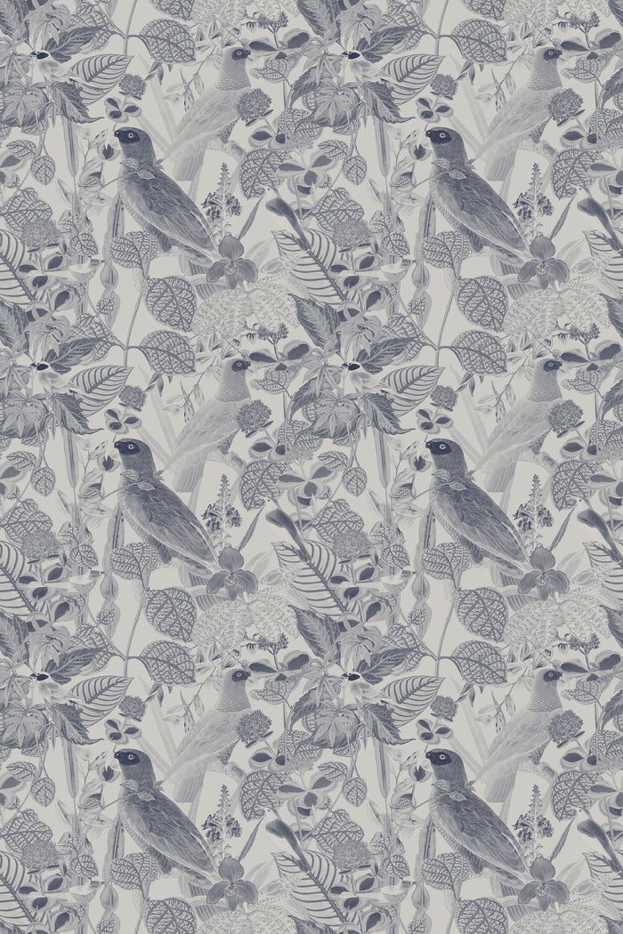 Rainforest of Congo / Gray