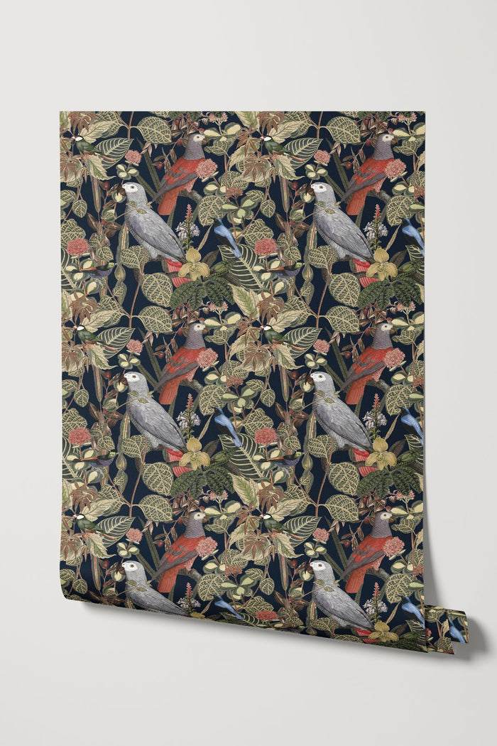 Rainforest of Congo / Navy