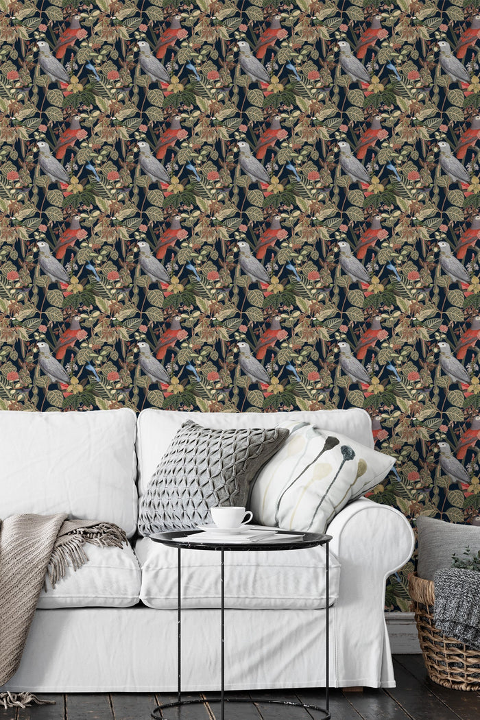 Rainforest of Congo / Navy