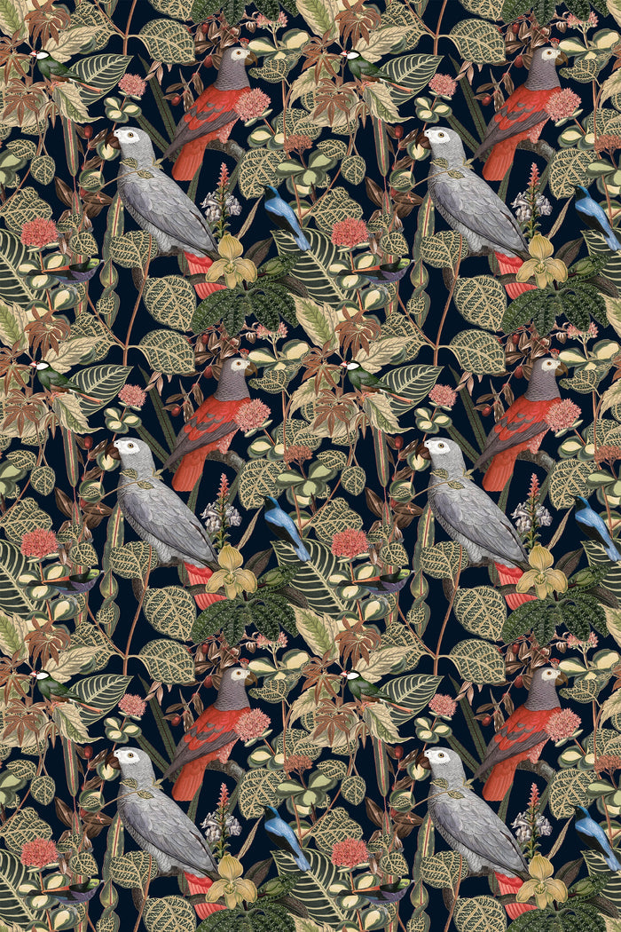 Rainforest of Congo / Navy