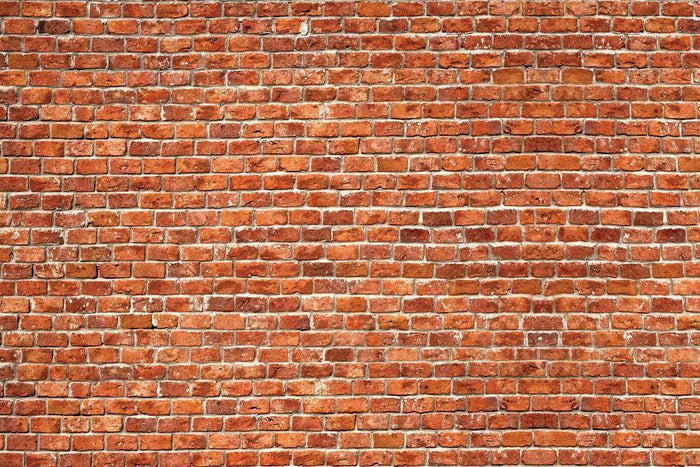 Red Brick 2 Wall Mural-Wall Mural-Eazywallz