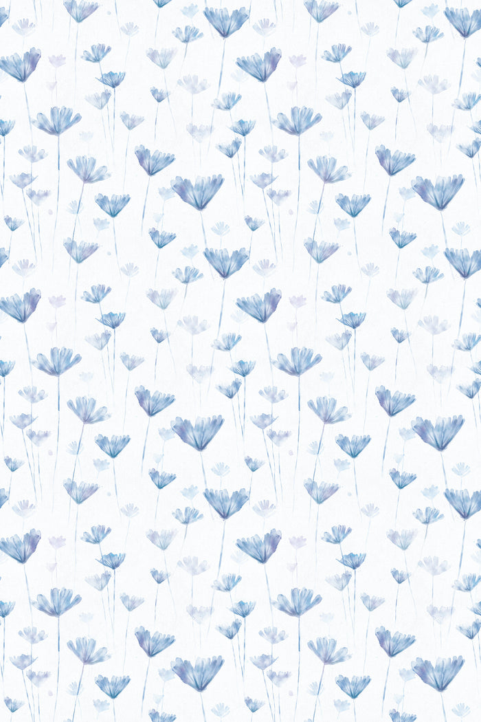 Ren / Blue