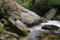 River rapids Wall Mural-Wall Mural-Eazywallz