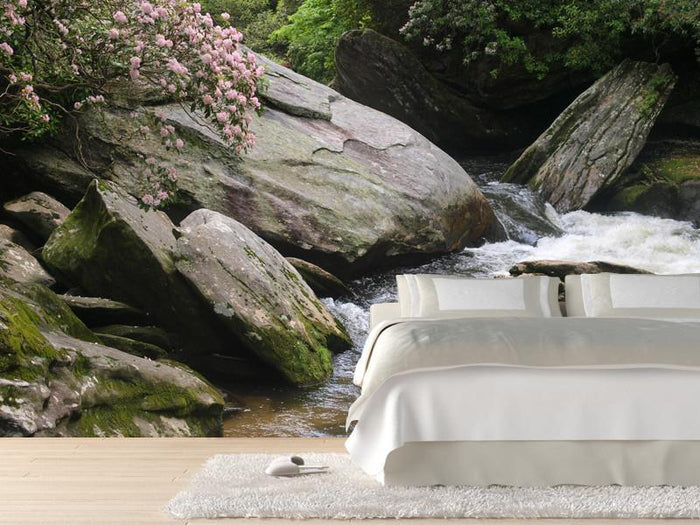 River rapids Wall Mural-Wall Mural-Eazywallz