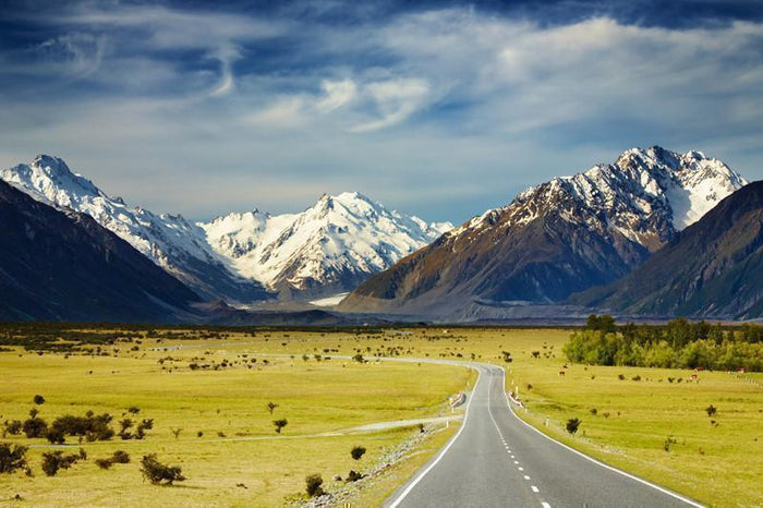 Road to the mountains Wall Mural-Wall Mural-Eazywallz