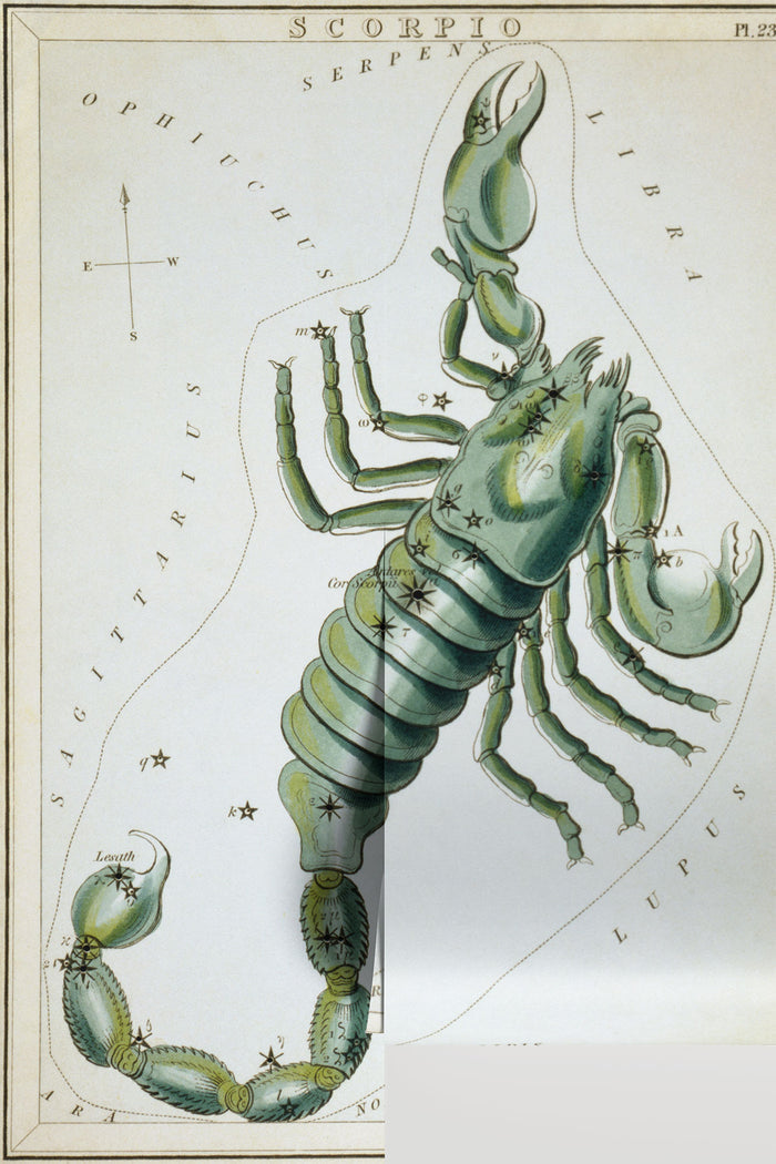 Scorpio