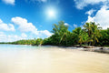 Sea and coconut palms Wall Mural-Wall Mural-Eazywallz