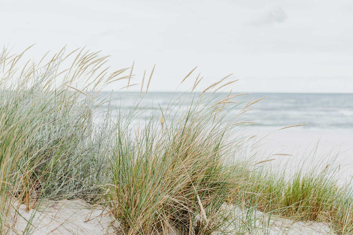Seaside Beach Wall Mural-Wall Mural-Eazywallz