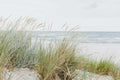 Seaside Beach Wall Mural-Wall Mural-Eazywallz
