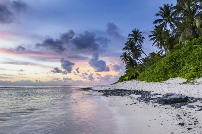 Secret Beach after Sunset Wall Mural-Wall Mural-Eazywallz