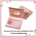 SheenEffect Chameleon Dream Duo Blush & Highlighter Palette detail