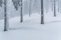 Silver Winter Forest Wall Mural-Wall Mural-Eazywallz
