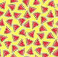 Single Layer Cotton Blanket - Happy Campers Watermelons Yellow Cotton