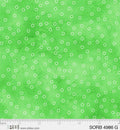 Sorbet  4986 G