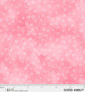 Sorbet  4986 P