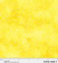 Sorbet  4986 Y