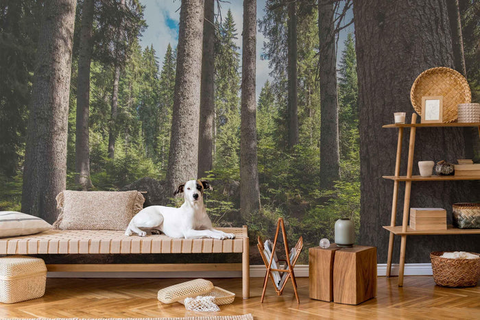 Spring Forest Wallpaper Mural-Wall Mural-Eazywallz
