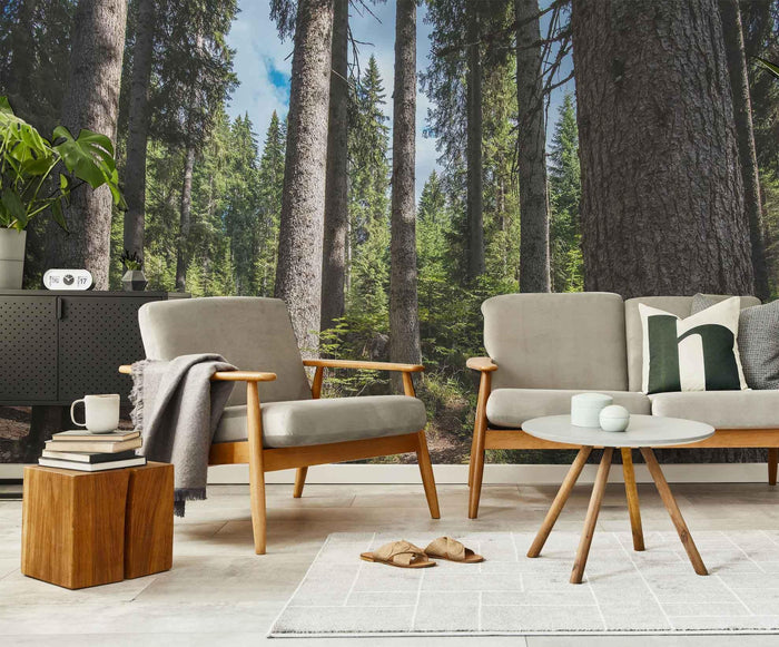 Spring Forest Wallpaper Mural-Wall Mural-Eazywallz