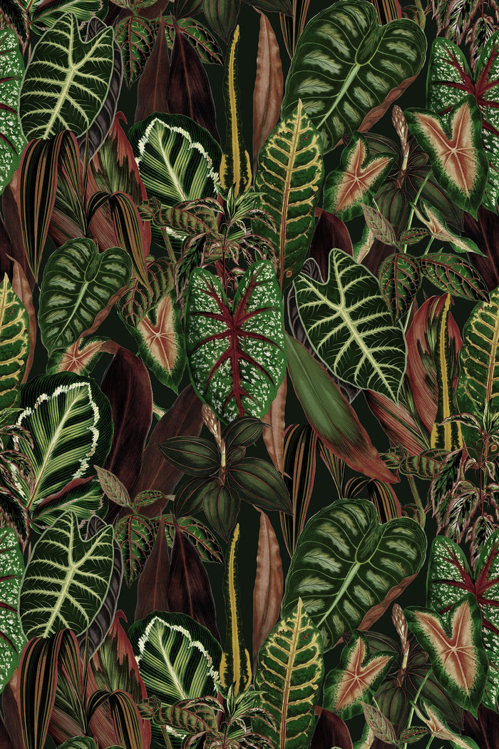 Sumatra / Dark