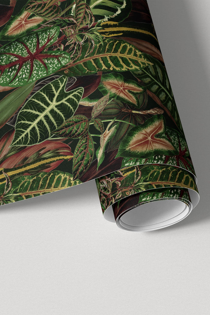 Sumatra / Dark