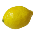 Super Real Latex Lemon