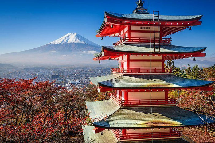Tokyo View Wall Mural-Wall Mural-Eazywallz
