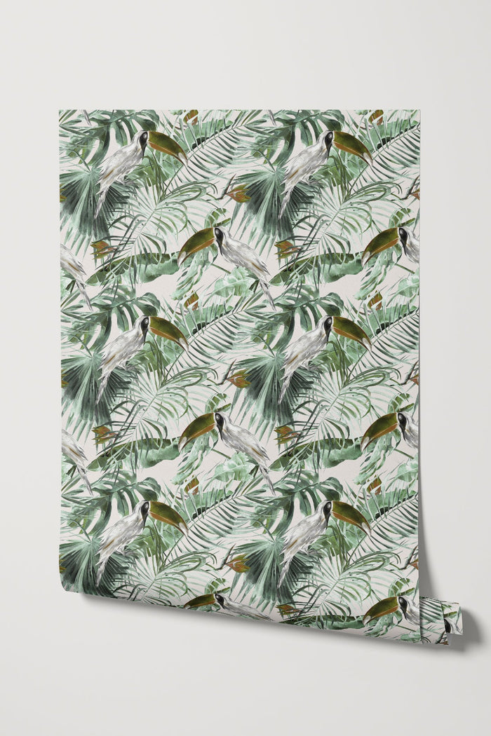 Toucan Tango / Olive