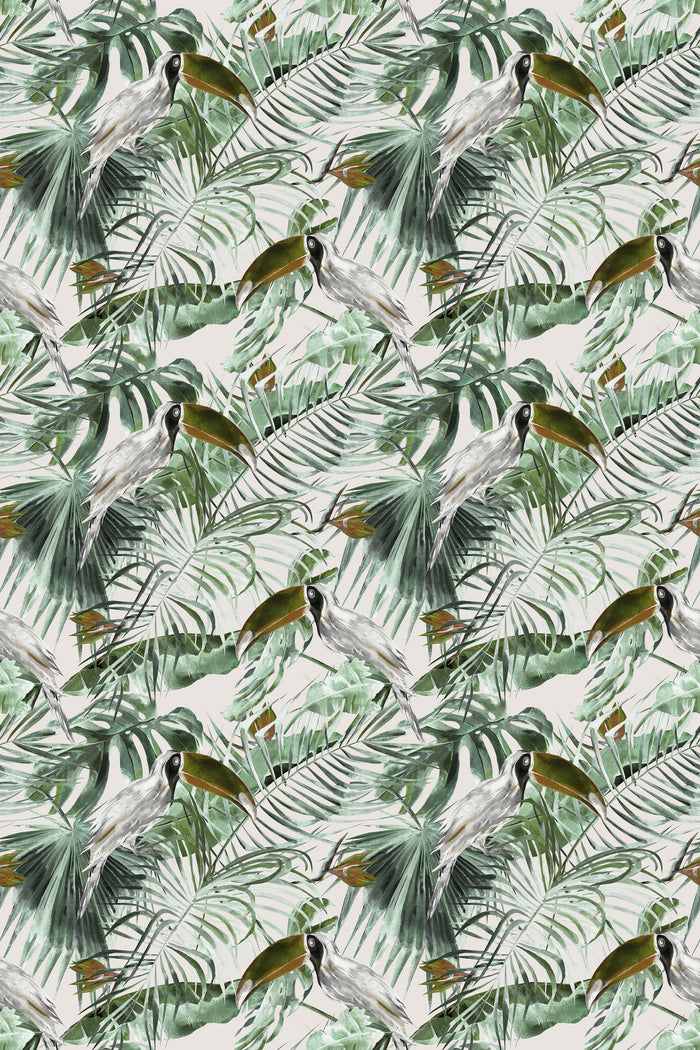 Toucan Tango / Olive