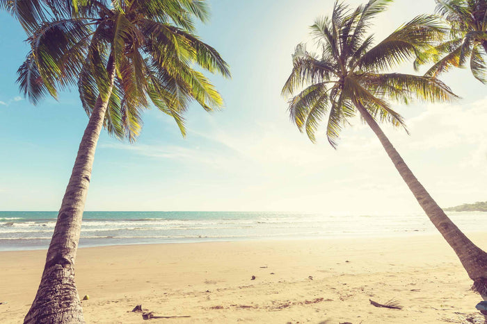 Tropical Beach Resort Wall Mural-Wall Mural-Eazywallz