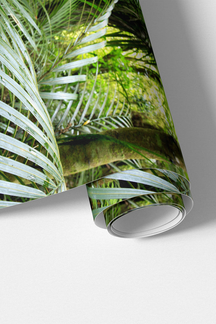 Tropical Palm Detail