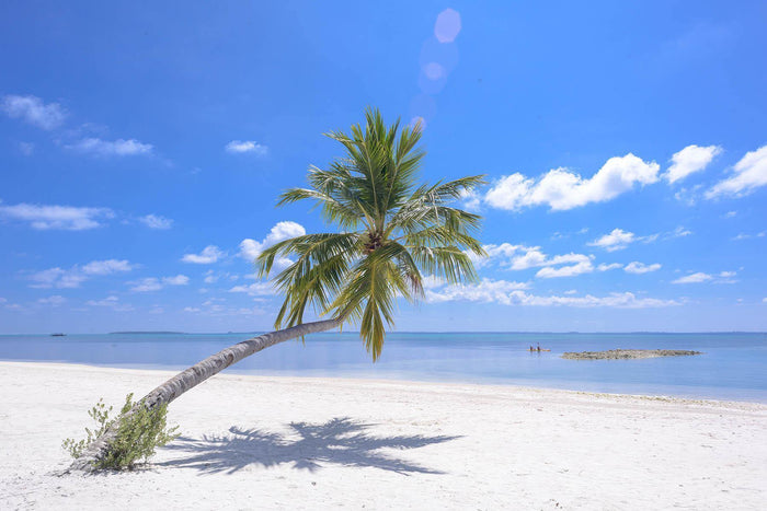 Tropical Paradise Wall Mural-Wall Mural-Eazywallz