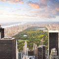 View of Central Park Wall Mural-Wall Mural-Eazywallz