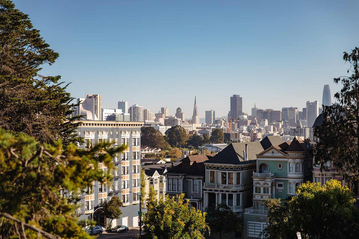 View of San Francisco Wall Mural-Wall Mural-Eazywallz