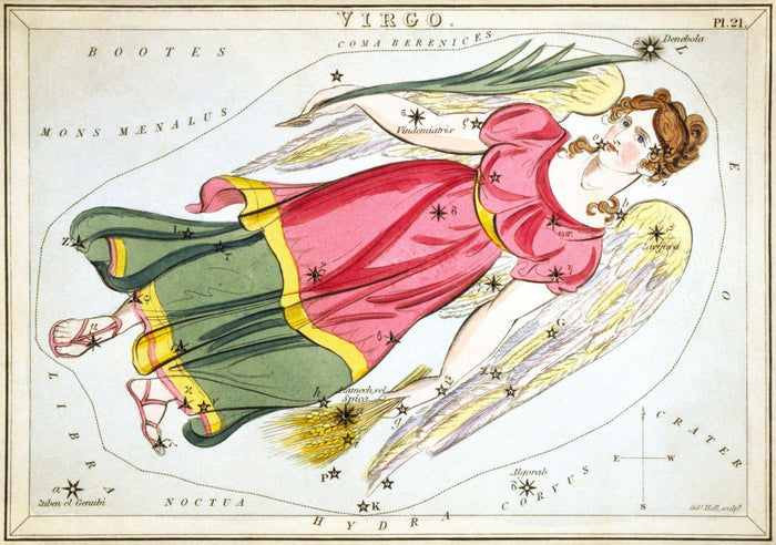 Virgo Wall Mural-Wall Mural-Eazywallz