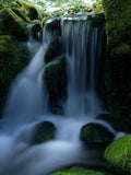 Waterfall in forest Wall Mural-Wall Mural-Eazywallz