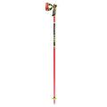 Wcr Tbs Sl 3D - Ski Poles