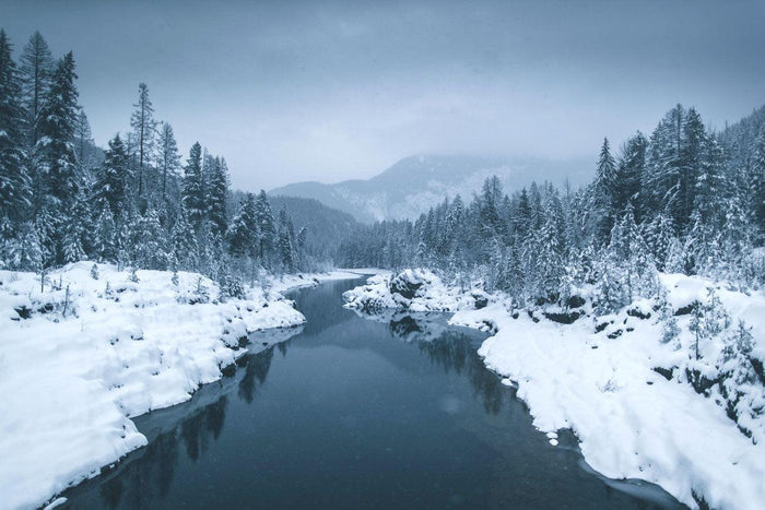 Winter in Montana Wall Mural-Wall Mural-Eazywallz