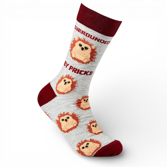 Women’s funny hedgehog socks with surrounded by pricks slogan on white background