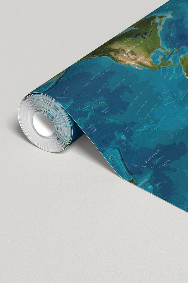 World Map