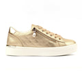 Xenon Gold Trainer