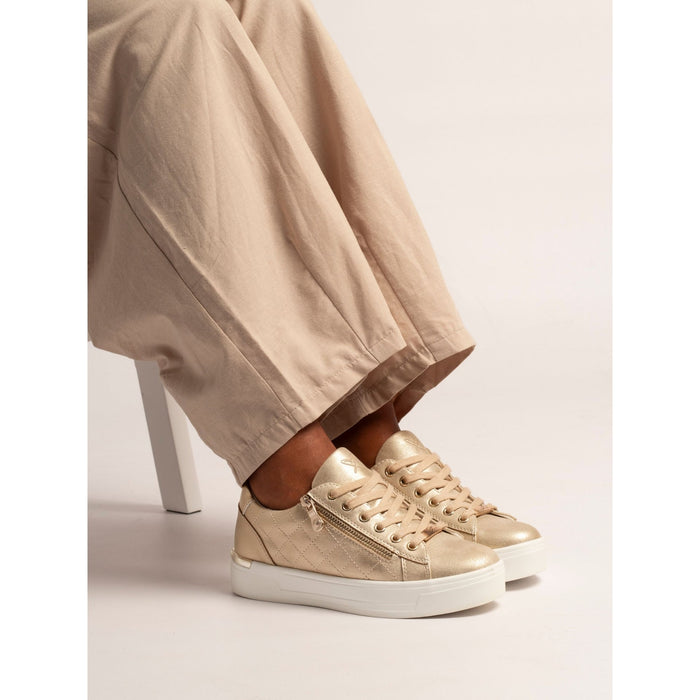 Xenon Gold Trainer