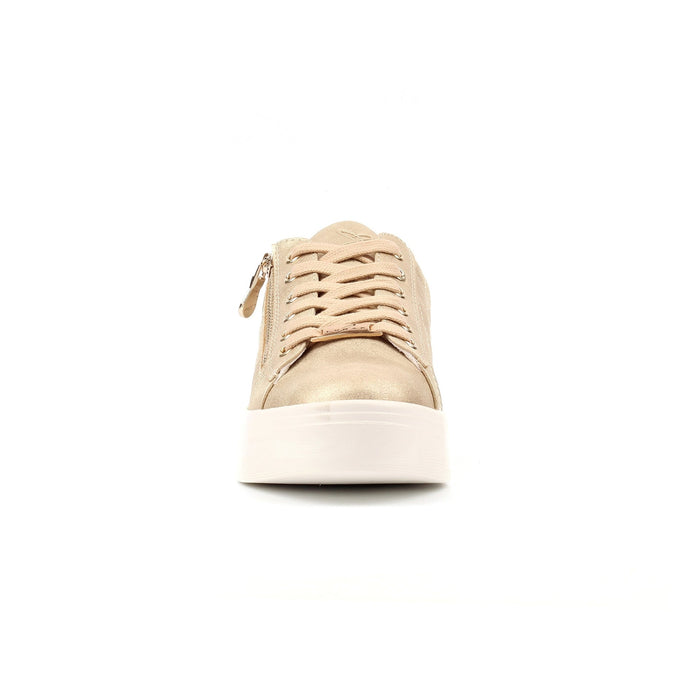 Xenon Gold Trainer