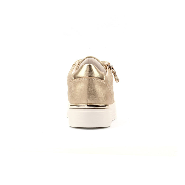 Xenon Gold Trainer