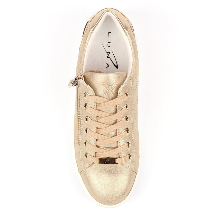 Xenon Gold Trainer