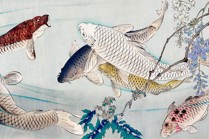 Yoshitoshi Fish