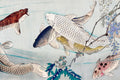 Yoshitoshi Fish