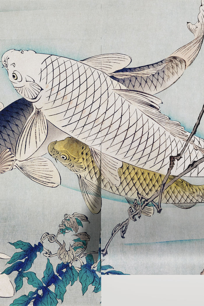 Yoshitoshi Fish